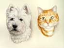 Westie Scotty et chat roux Fripon